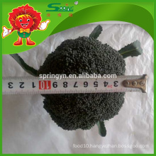 2016 new harvest High quality fresh frozen broccoli cheap price bulk sale